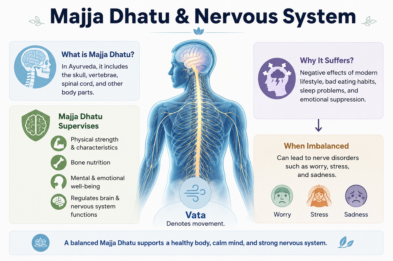 Majja Dhatu